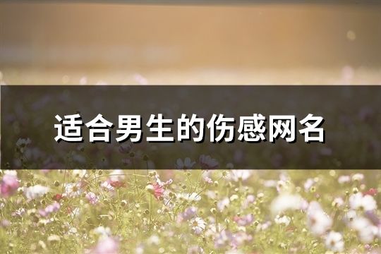 适合男生的伤感网名(精选81个)