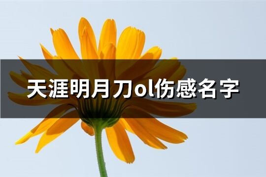 天涯明月刀ol伤感名字(150个)