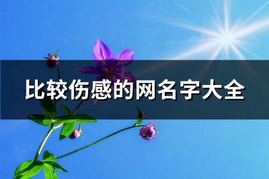 比较伤感的网名字大全(共582个)