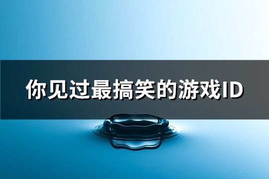 你见过最搞笑的游戏ID(实用160句)