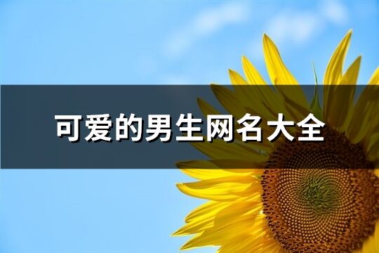 可爱的男生网名大全(共323个)