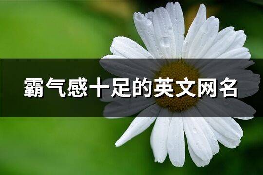 霸气感十足的英文网名(精选100个)