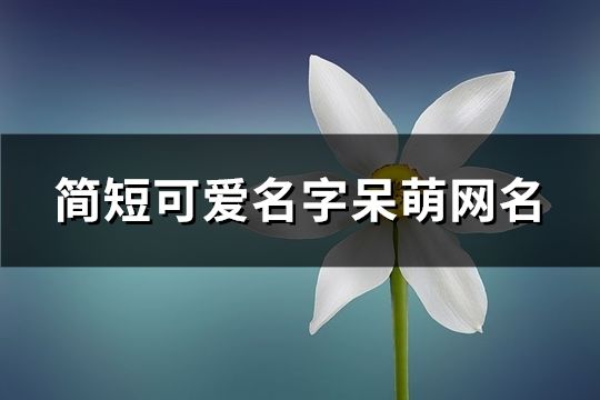 简短可爱名字呆萌网名(共78个)