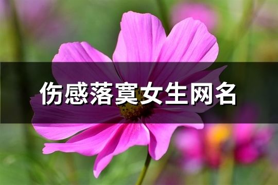 伤感落寞女生网名(共969个)