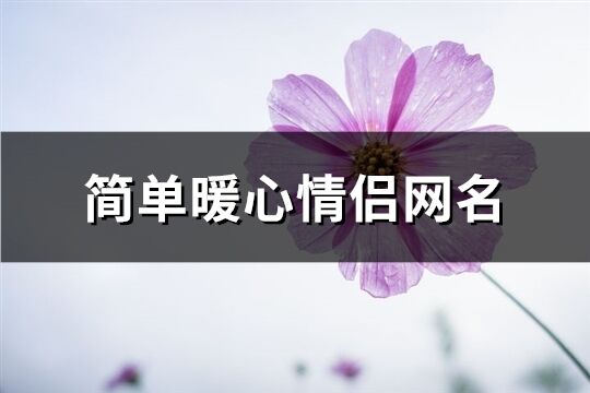 简单暖心情侣网名(精选168个)