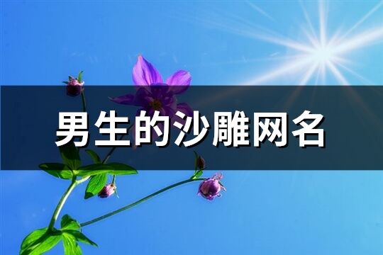 男生的沙雕网名(精选600个)