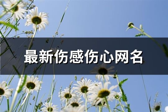 最新伤感伤心网名(精选578个)