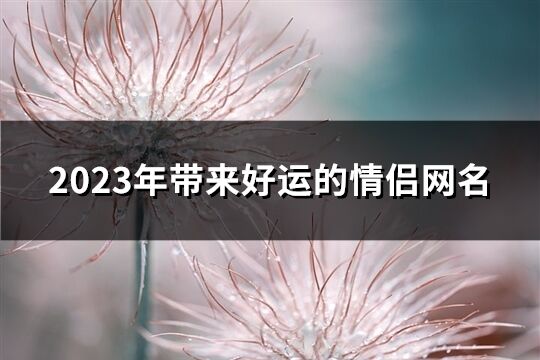 2023年带来好运的情侣网名(精选360个)