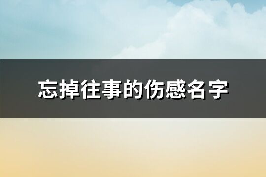 忘掉往事的伤感名字(201个)