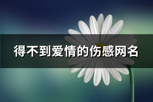 得不到爱情的伤感网名(共129个)