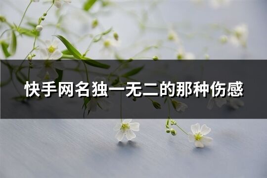 快手网名独一无二的那种伤感(218个)