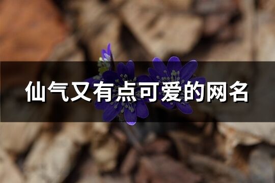 仙气又有点可爱的网名(260个)