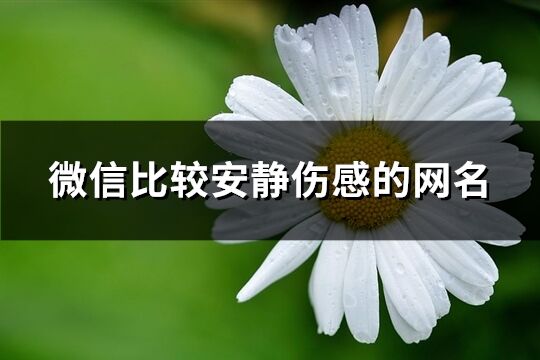 微信比较安静伤感的网名(精选565个)