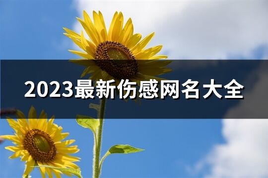 2023最新伤感网名大全(精选809个)