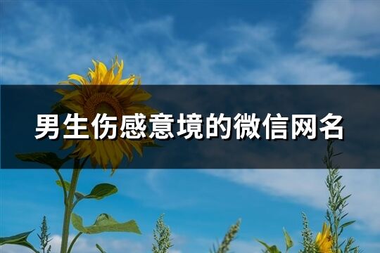 男生伤感意境的微信网名(共421个)