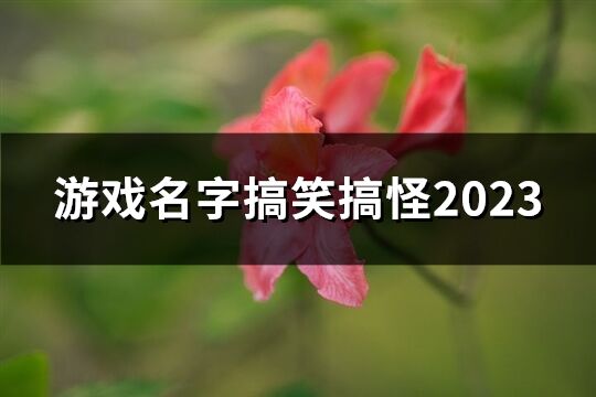 游戏名字搞笑搞怪2023(共338个)