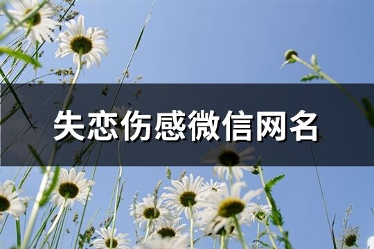 失恋伤感微信网名(107个)