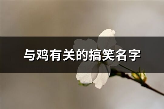 与鸡有关的搞笑名字(169个)