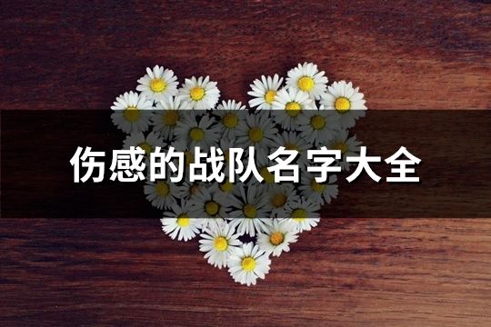 伤感的战队名字大全(63个)