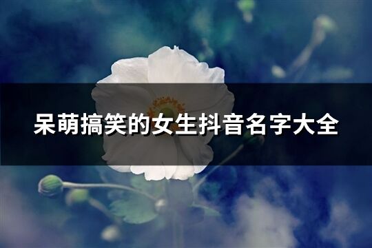 呆萌搞笑的女生抖音名字大全(优选309个)