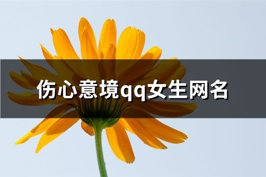 伤心意境qq女生网名(共340个)