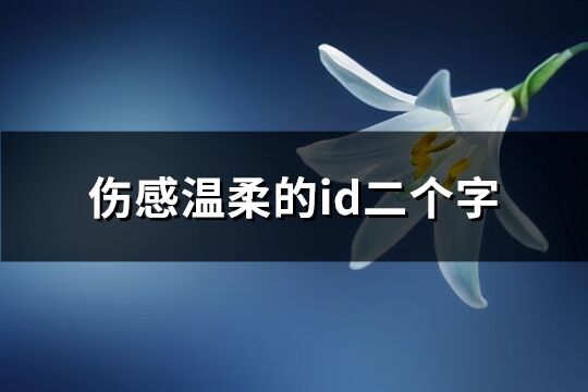 伤感温柔的id二个字(395个)