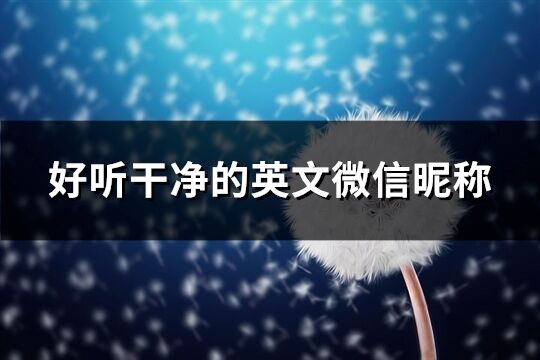 好听干净的英文微信昵称(共231个)