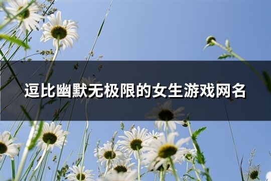 逗比幽默无极限的女生游戏网名(共329个)