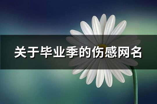 关于毕业季的伤感网名(精选116个)