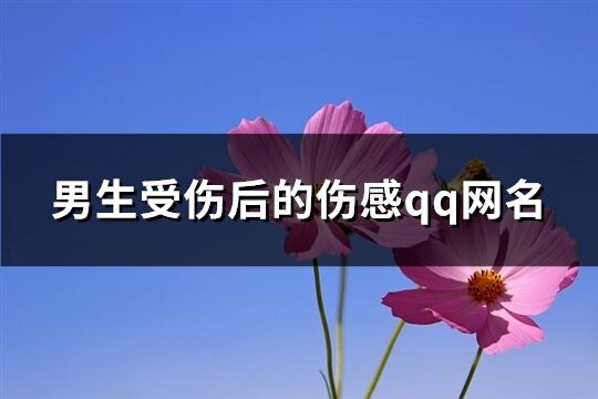 男生受伤后的伤感qq网名(精选146个)