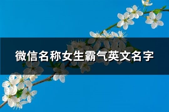 微信名称女生霸气英文名字(优选65个)