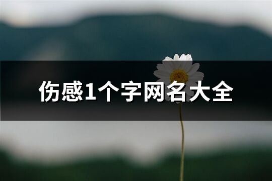 伤感1个字网名大全(精选255个)