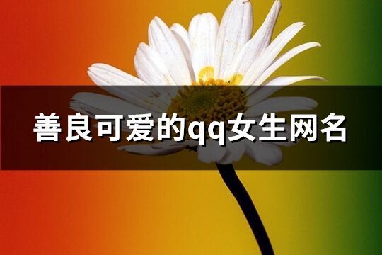 善良可爱的qq女生网名(546个)