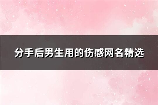 分手后男生用的伤感网名精选(273个)