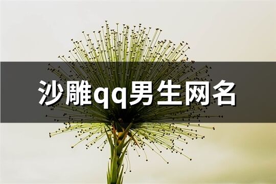 沙雕qq男生网名(339个)