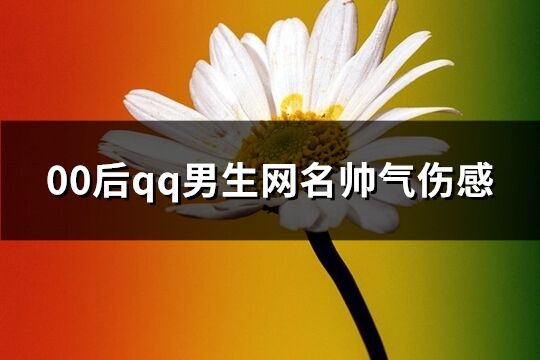 00后qq男生网名帅气伤感(精选102个)