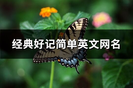 经典好记简单英文网名(298个)