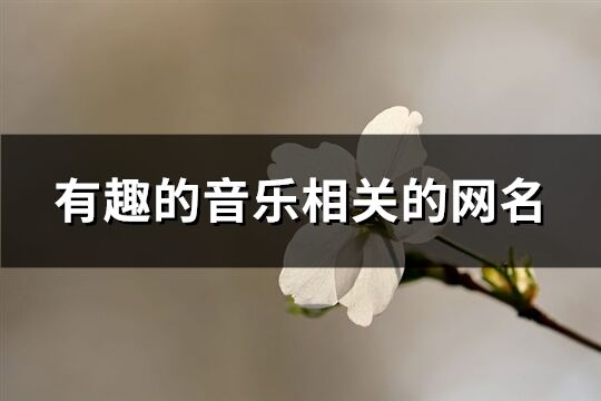 有趣的音乐相关的网名(精选170个)