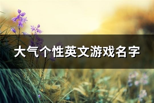 大气个性英文游戏名字(精选343个)