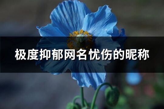 极度抑郁网名忧伤的昵称(共229个)