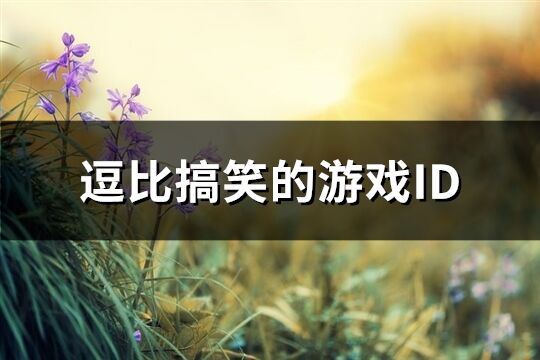 逗比搞笑的游戏ID(共305个)