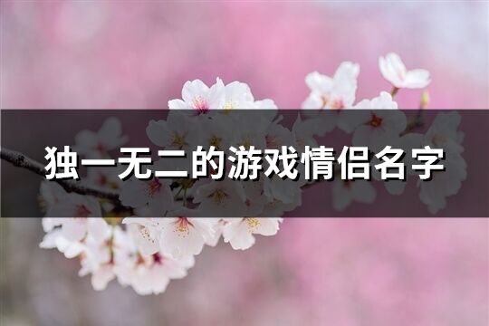 独一无二的游戏情侣名字(共148个)