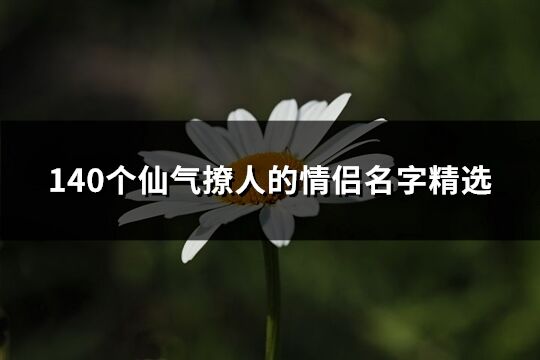 140个仙气撩人的情侣名字精选(185个)