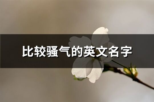 比较骚气的英文名字(77个)