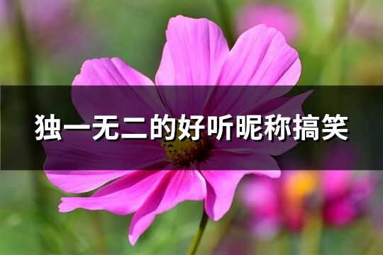 独一无二的好听昵称搞笑(优选419个)