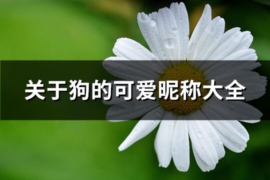 关于狗的可爱昵称大全(共96个)