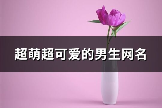 超萌超可爱的男生网名(451个)