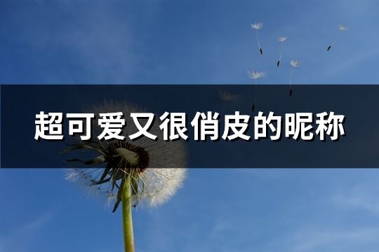 超可爱又很俏皮的昵称(408个)