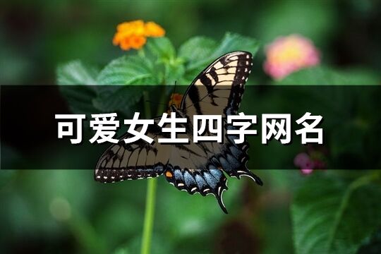 可爱女生四字网名(899个)