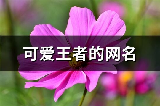 可爱王者的网名(精选842个)